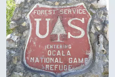 Ne 171st Court, Silver Springs, FL 34488 - Photo 47