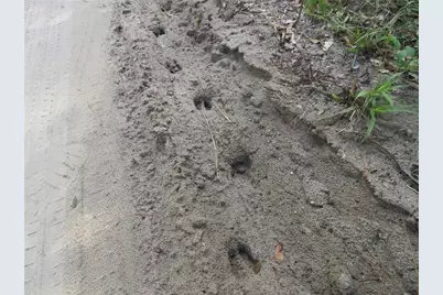 Ne 171st Court, Silver Springs, FL 34488 - Photo 11