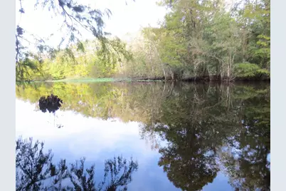 Ne 171st Court, Silver Springs, FL 34488 - Photo 33