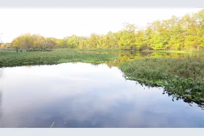 Ne 171st Court, Silver Springs, FL 34488 - Photo 33