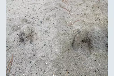 Ne 171st Court, Silver Springs, FL 34488 - Photo 15