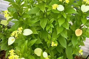 17694 SE 84th Peyton Ct, The Villages, FL 32162 - Photo 33