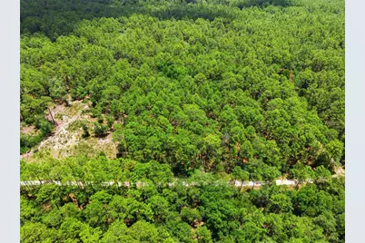 Lot 02 SW 175th Terrace, Dunnellon, FL 34432 - Photo 21