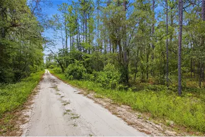 Lot 02 SW 175th Terrace, Dunnellon, FL 34432 - Photo 3