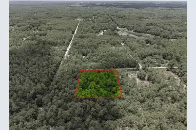 Lot 02 SW 175th Terrace, Dunnellon, FL 34432 - Photo 13