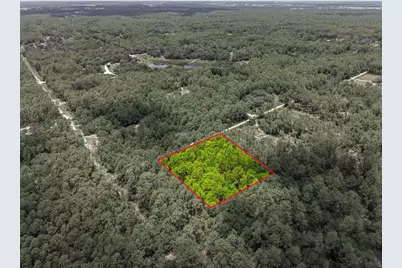Lot 02 SW 175th Terrace, Dunnellon, FL 34432 - Photo 11