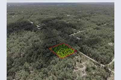 Lot 02 SW 175th Terrace, Dunnellon, FL 34432 - Photo 15