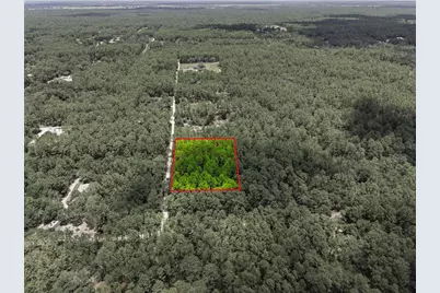 Lot 02 SW 175th Terrace, Dunnellon, FL 34432 - Photo 9