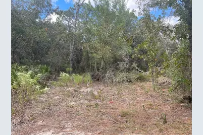 5611 W Rochelle Street, Homosassa, FL 34448 - Photo 3