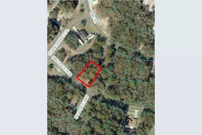 00 Bay Place Way, Ocklawaha, FL 32179 - Photo 1