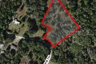 11403 N Lisette Path, Dunnellon, FL 34433 - Photo 1