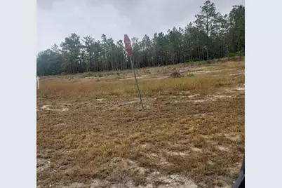 16322 Mexican Eagle Road, Brooksville, FL 34614 - Photo 3