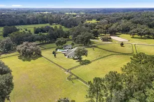 8778 NW 130th St, Reddick, FL 32686 - Photo 81