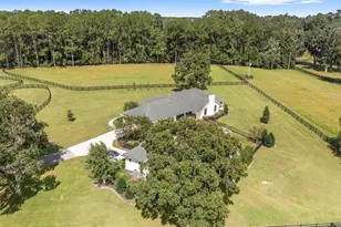 8778 NW 130th St, Reddick, FL 32686 - Photo 79