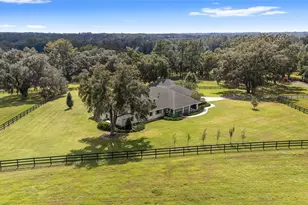 8778 NW 130th St, Reddick, FL 32686 - Photo 79