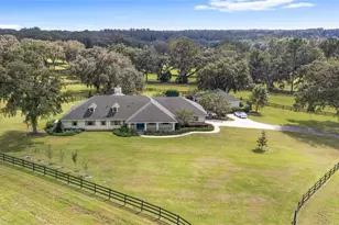 8778 NW 130th St, Reddick, FL 32686 - Photo 75