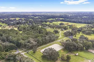 8778 NW 130th St, Reddick, FL 32686 - Photo 73