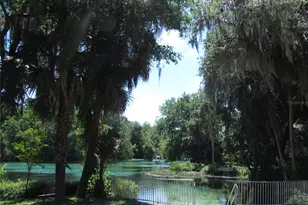 9009 SW 194th Ct, Dunnellon, FL 34432 - Photo 59