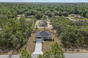 6447 N New Japan Terrace, Citrus Springs, FL 34434 - Photo 39