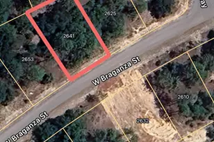 2641 W Braganza St, Dunnellon, FL 34433 - Photo 1