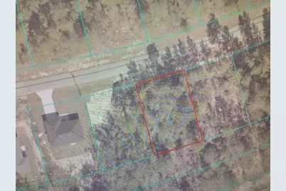 0 SW 153 Place Road, Ocala, FL 34473 - Photo 3