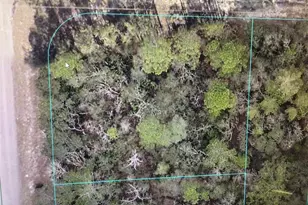 0 SW 69 Ct Rd, Ocala, FL 34473 - Photo 1