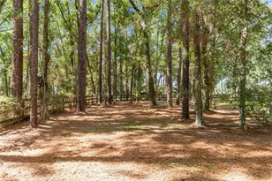 42 SE 103rd St, Ocala, FL 34480 - Photo 57