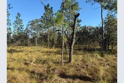 00 SE 73rd Lane, Morriston, FL 32668 - Photo 19