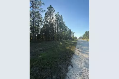 00 SE 73rd Lane, Morriston, FL 32668 - Photo 9