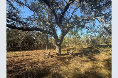 00 SE 73rd Lane, Morriston, FL 32668 - Photo 1