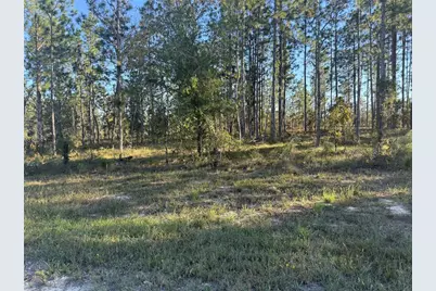 00 SE 73rd Lane, Morriston, FL 32668 - Photo 11