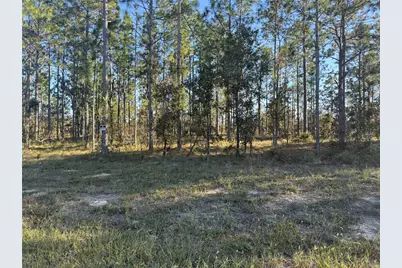 00 SE 73rd Lane, Morriston, FL 32668 - Photo 21