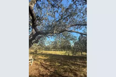 00 SE 73rd Lane, Morriston, FL 32668 - Photo 17