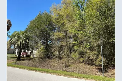 0 SE 139th Lane, Summerfield, FL 34491 - Photo 5