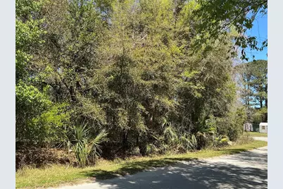 0 SE 139th Lane, Summerfield, FL 34491 - Photo 3