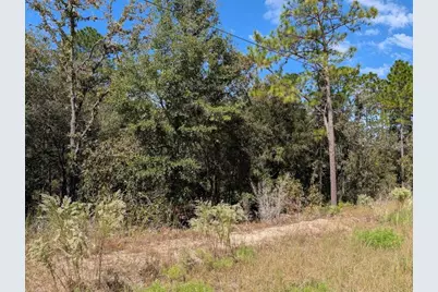 [Address not provided], Dunnellon, FL 34432 - Photo 11