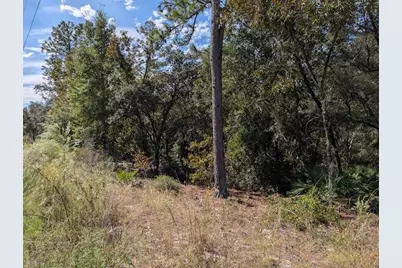 [Address not provided], Dunnellon, FL 34432 - Photo 9