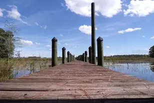 101 Tomahawk Rd, Hawthorne, FL 32640 - Photo 3