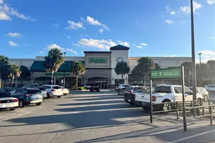 16602 SE 23rd Ave, Summerfield, FL 34491 - Photo 9