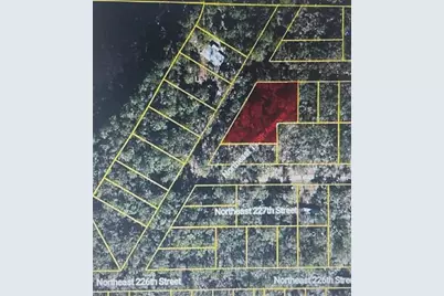 22733 NE 115th Avenue, Fort Mc Coy, FL 32134 - Photo 1