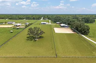 280 NE 150 Ave, Williston, FL 32696 - Photo 97