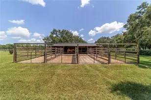 280 NE 150 Ave, Williston, FL 32696 - Photo 79