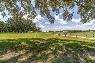 280 NE 150 Ave, Williston, FL 32696 - Photo 91