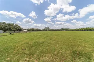 280 NE 150 Ave, Williston, FL 32696 - Photo 87