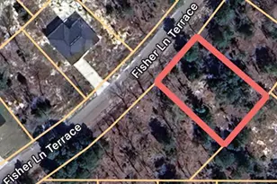 Fisher Ln Terrace, Ocklawaha, FL 32179 - Photo 1