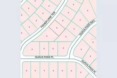Fisher Lane Terrace #6, Ocklawaha, FL 32179 - Photo 5