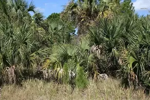 281 Farmington Street SW, Palm Bay, FL 32908 - Photo 1