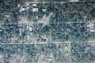 Tbd NE Ne 204th Ln, Fort Mc Coy, FL 32134 - Photo 1