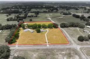 16050 NW 10th Cir, Citra, FL 32113 - Photo 77