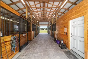 16050 NW 10th Cir, Citra, FL 32113 - Photo 59